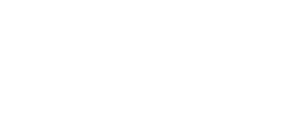 Motor Zink